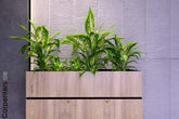 #color_Black+Egger®Natural Pacific Walnut