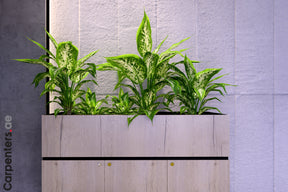 FACE Mid-height filing cabinet with Planter