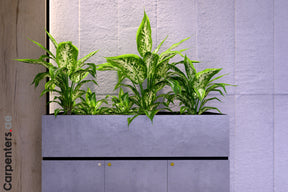 FACE Mid-height filing cabinet with Planter