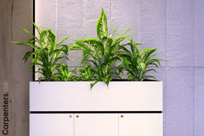 FACE Mid-height filing cabinet with Planter