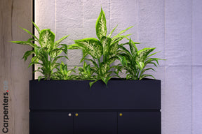FACE Mid-height filing cabinet with Planter