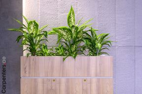 FACE Mid-height filing cabinet with Planter