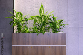 FACE Mid-height filing cabinet with Planter