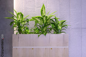 FACE Mid-height filing cabinet with Planter