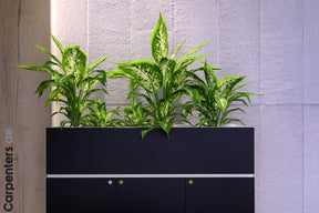 FACE Mid-height filing cabinet with Planter