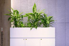 FACE Mid-height filing cabinet with Planter