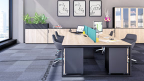 Face Workstations